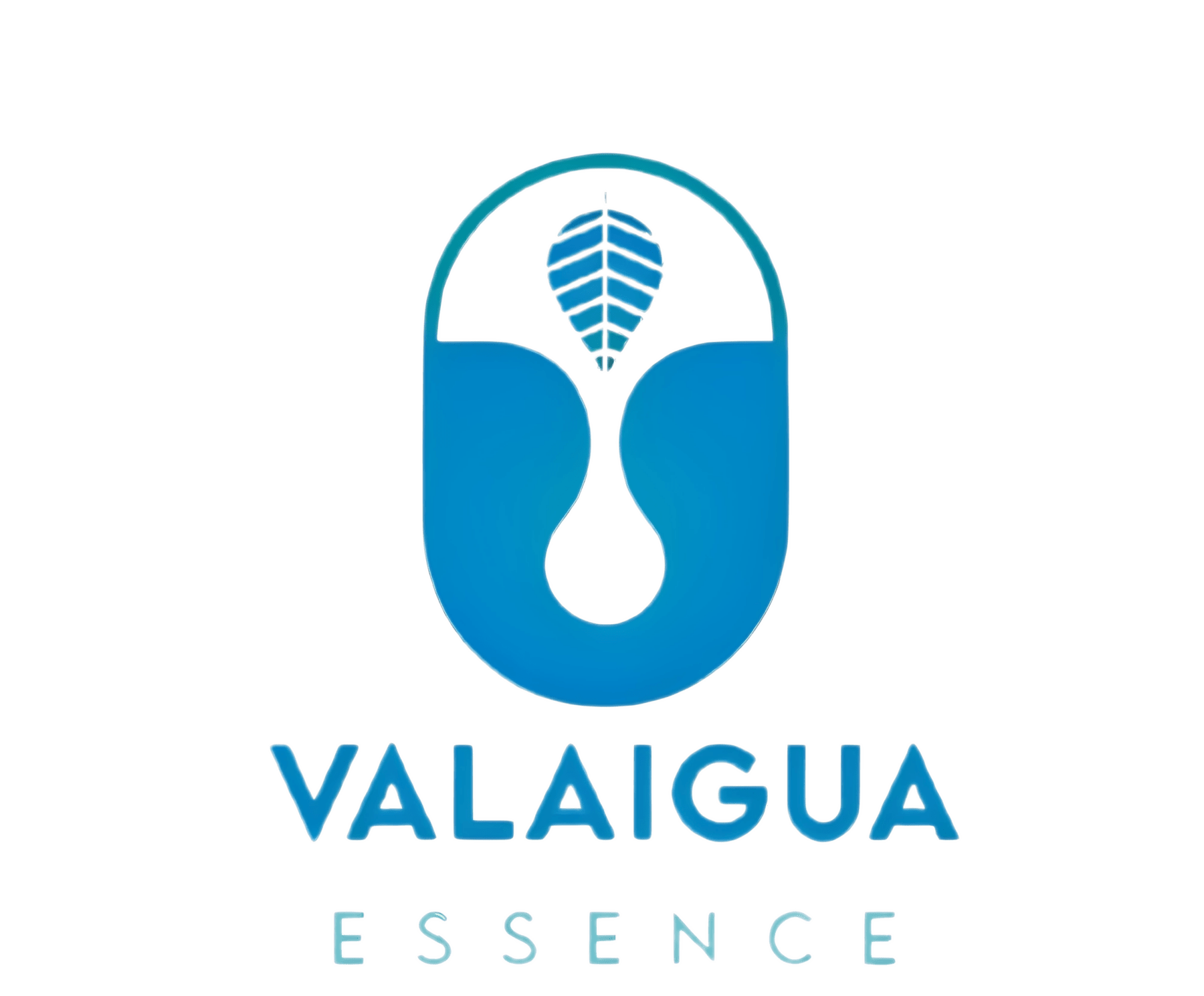 Valaigua